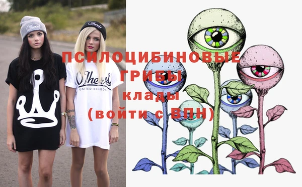 тгк Богородицк