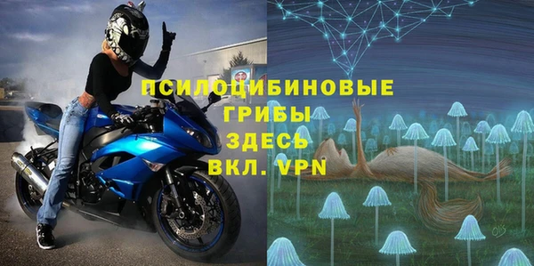 тгк Богородицк