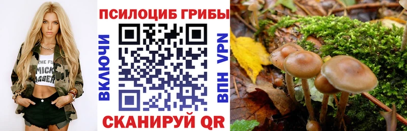 kraken ONION Демидов Галлюциногенные грибы мицелий